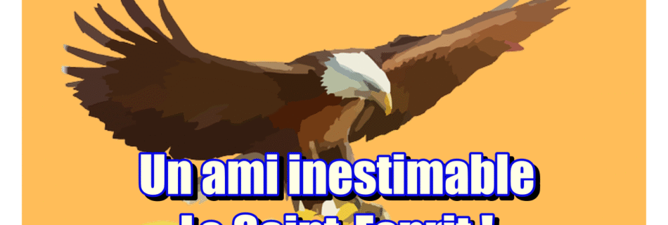 Un ami inestimable le Saint-Esprit🤫